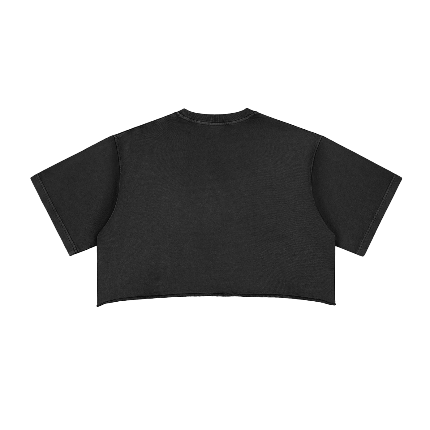 Lost Girl Snow Washed Raw Edge Crop Top
