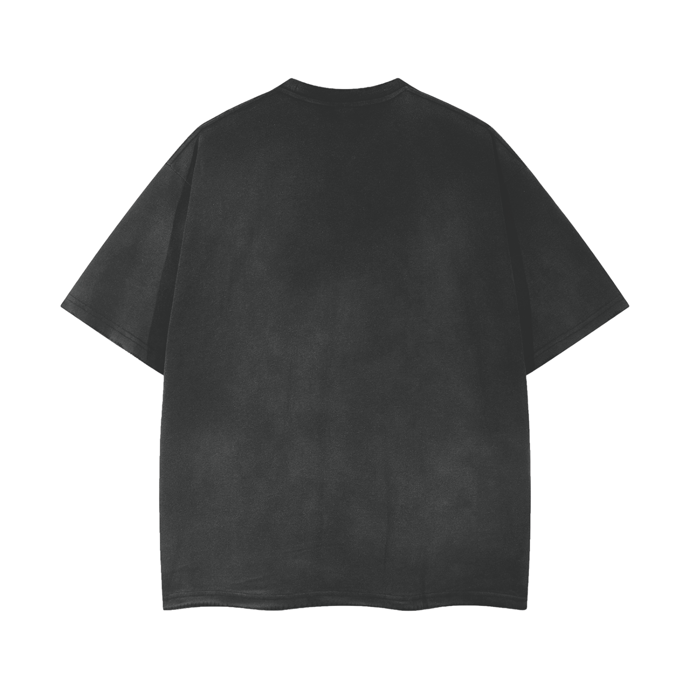 Lostworld Vintage Wash Frayed T-Shirt
