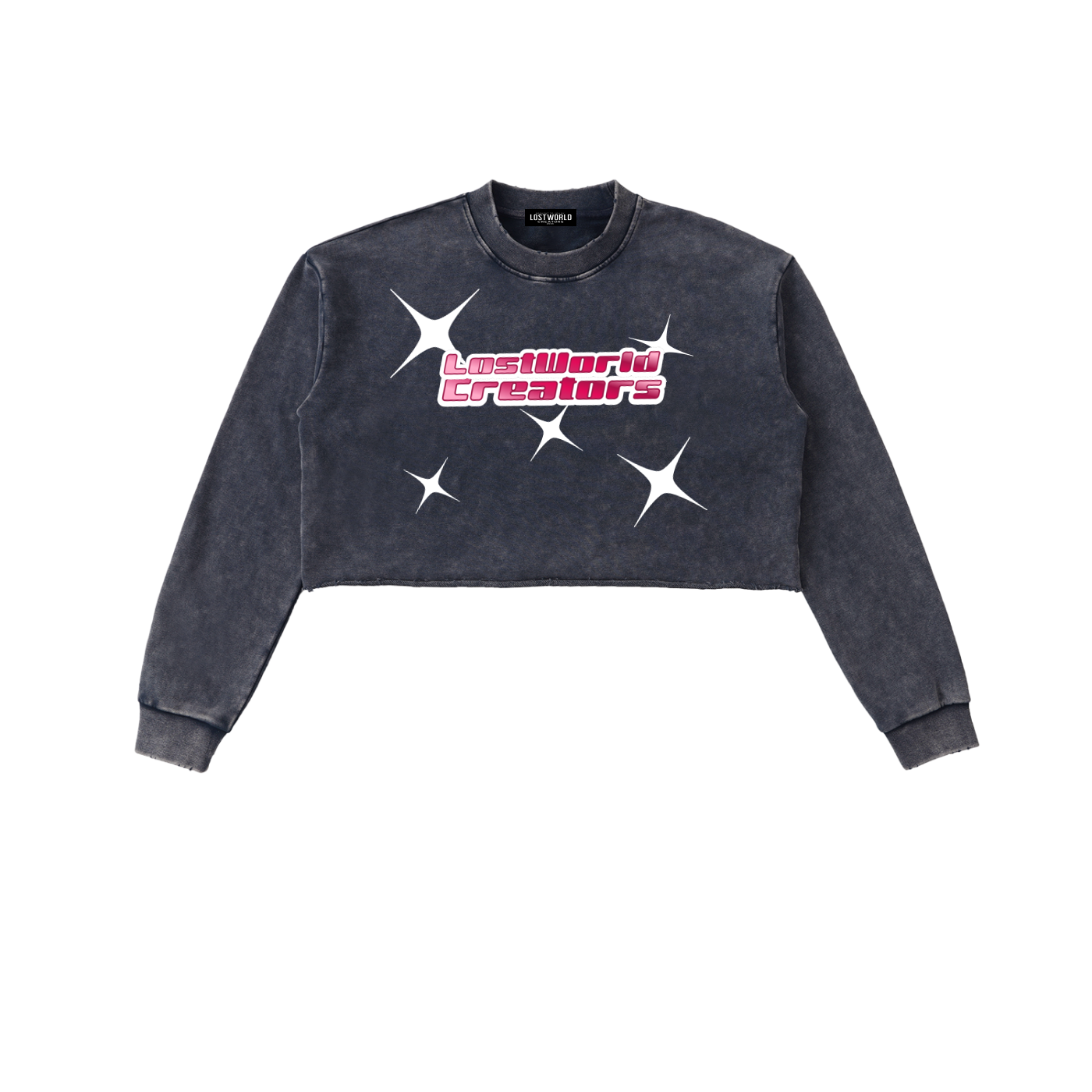 LOST GIRL LWC Snow Washed Raw Edge Cropped Sweatshirt