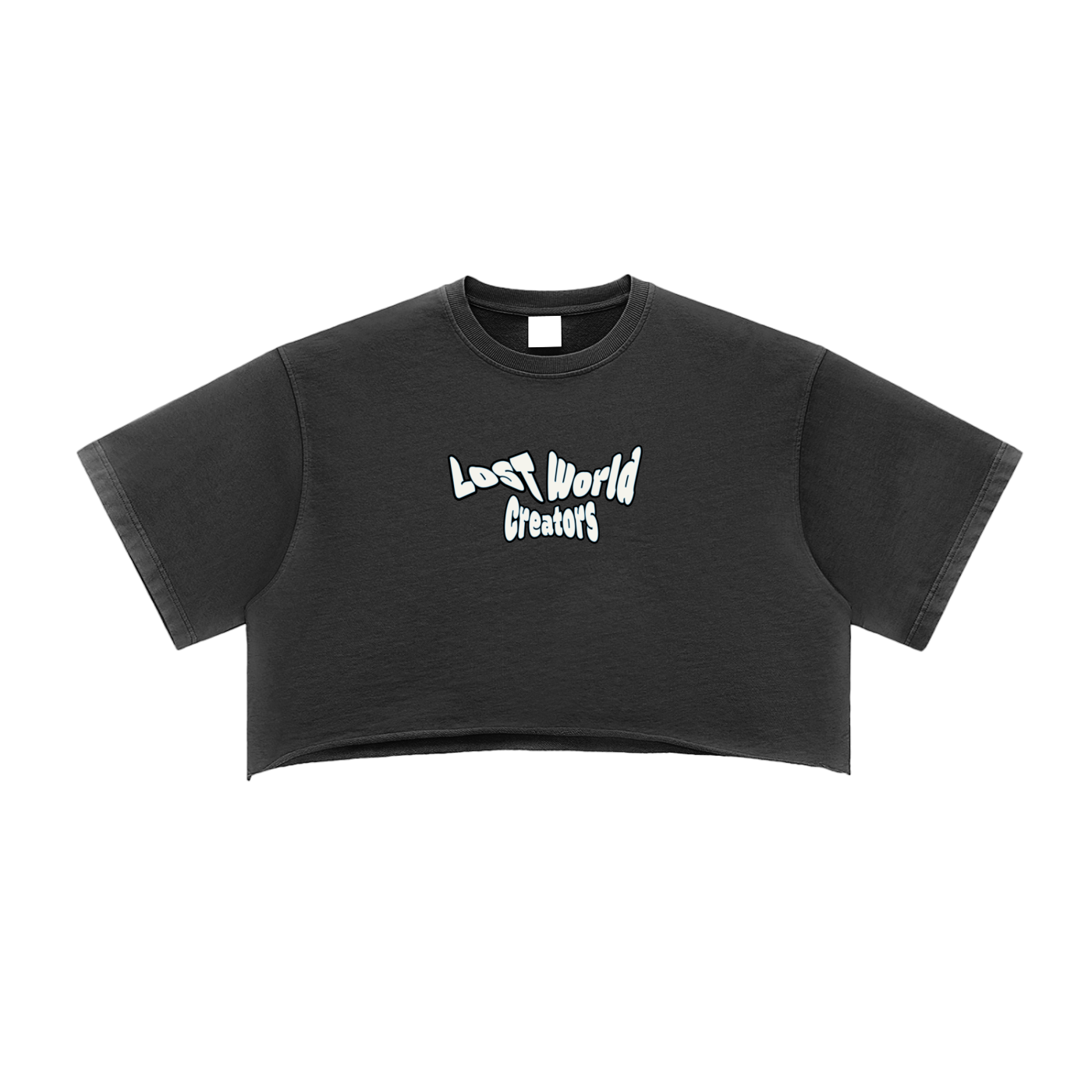 LWC GG Snow Washed Raw Edge Crop Top