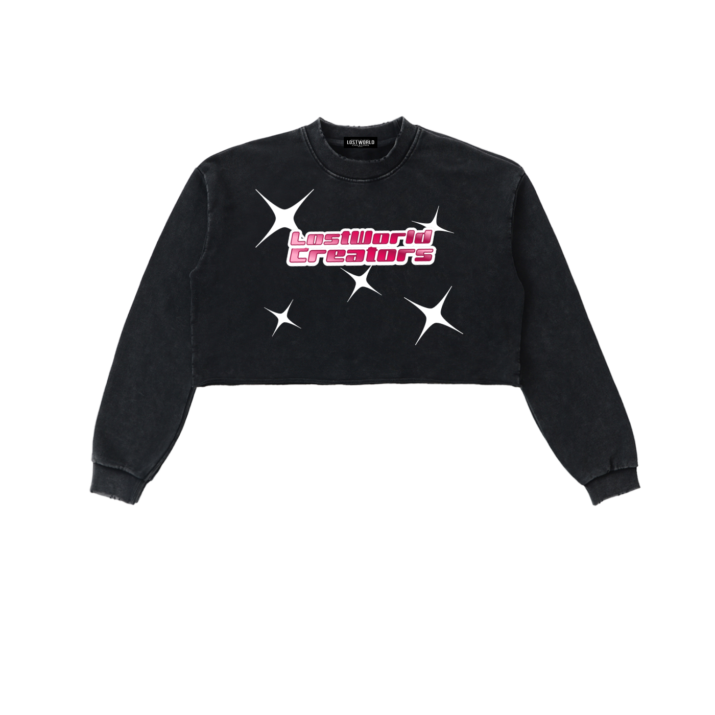 LOST GIRL LWC Snow Washed Raw Edge Cropped Sweatshirt