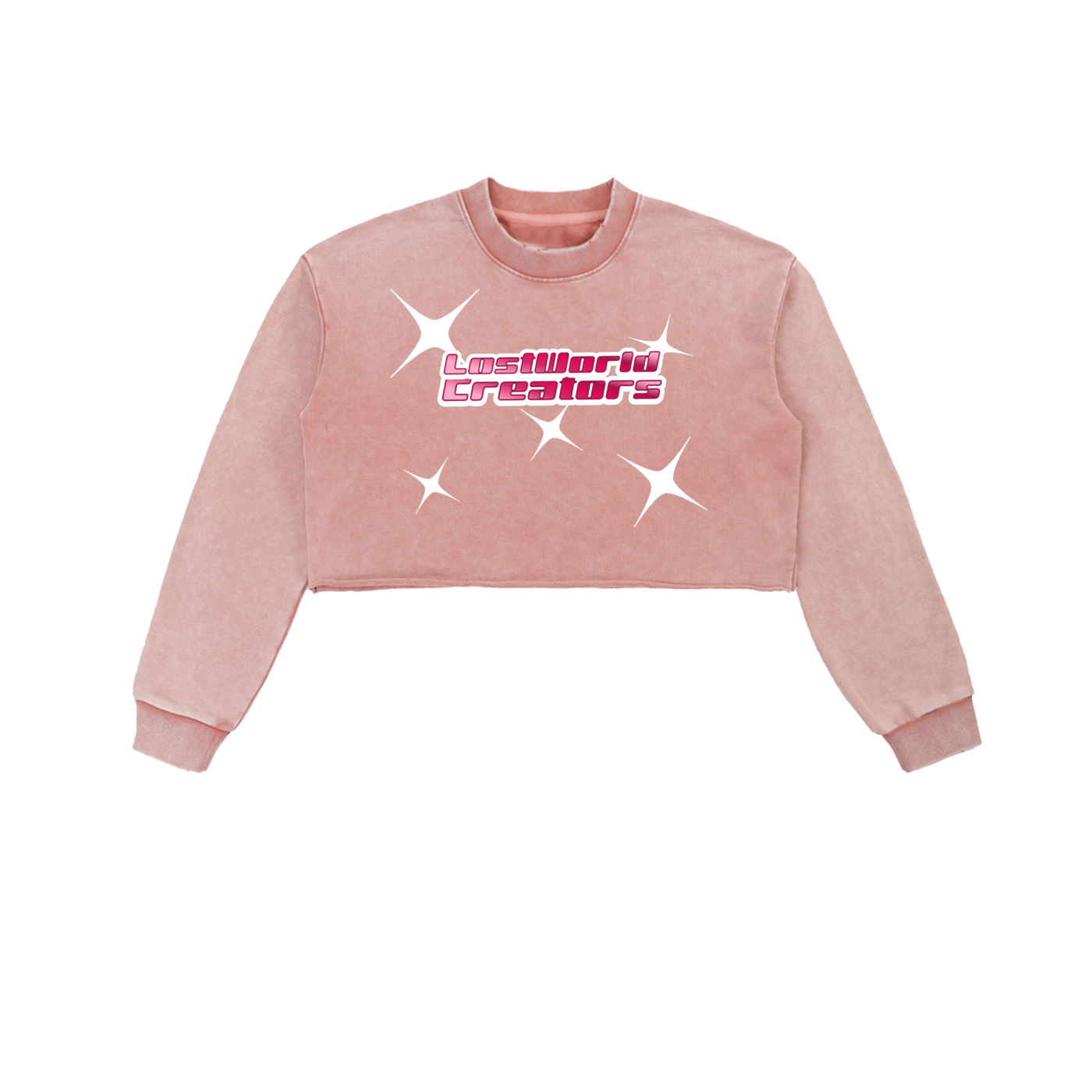 LOST GIRL LWC Snow Washed Raw Edge Cropped Sweatshirt